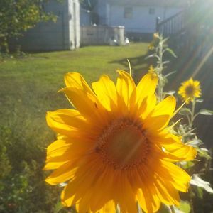 Meet your Posher, Teresa